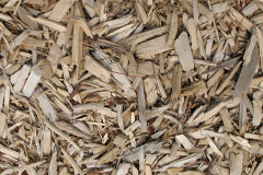 biomass boilers Gwernogle