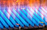Gwernogle gas fired boilers